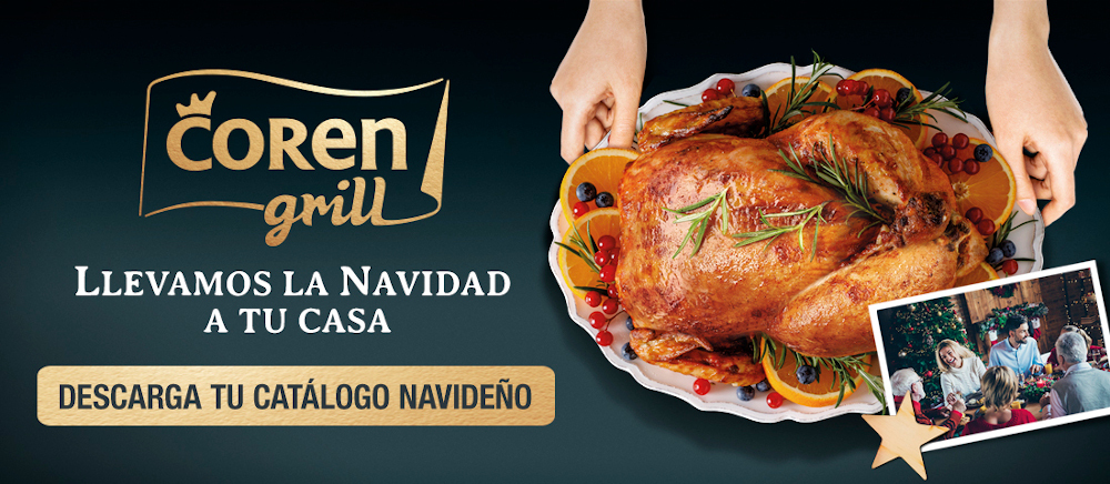 Banner NAVIDAD descarga catalogo.jpg
